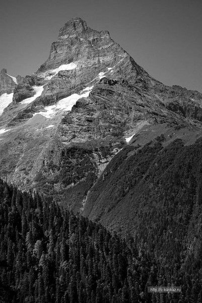 Абубакар ...