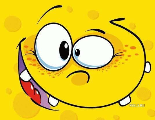 Владислав Драгун