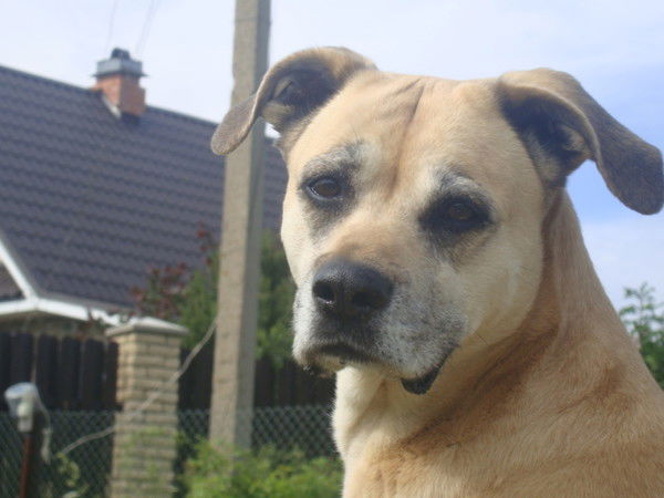 Наталия Серго