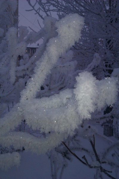 Владимир Якимец