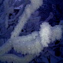 Владимир Якимец