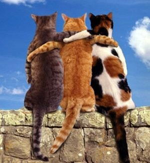 Александр Савенков