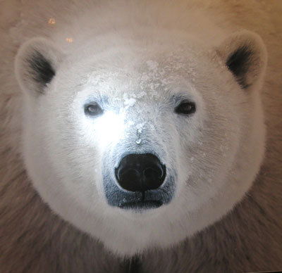 Алексей Громов