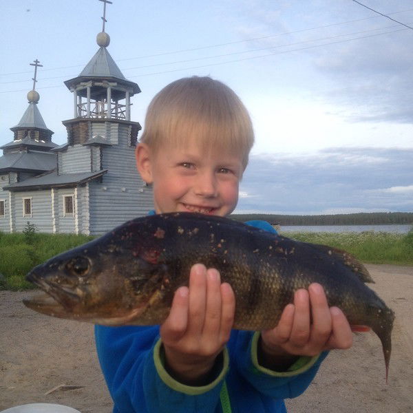 Алексей Никулин