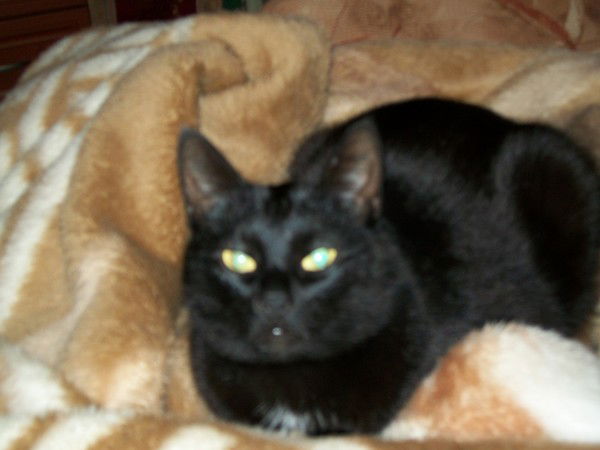 Надя Войтюк