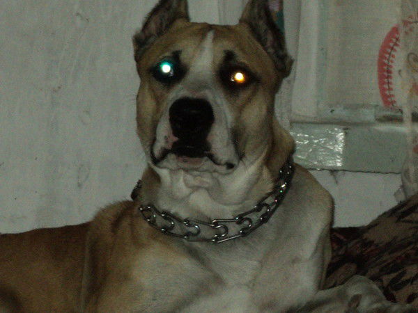 Сергей Татаренко