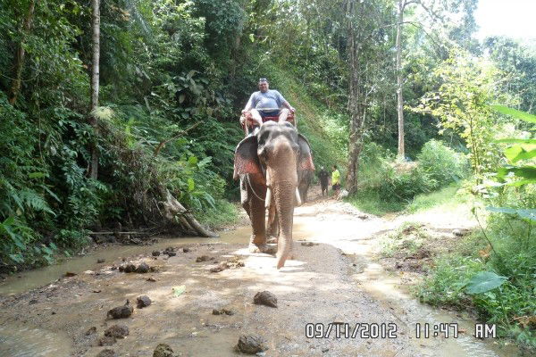 Дмитрий Ковшаров