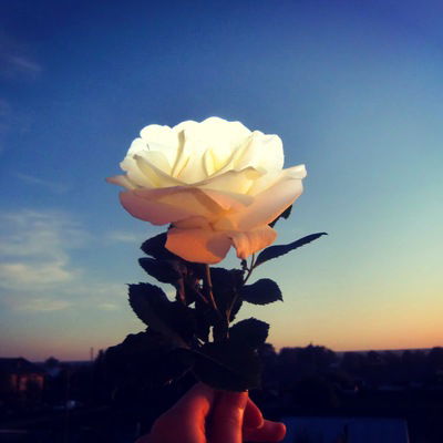 Катерина Порубова