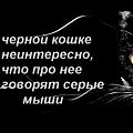 Жека Носов