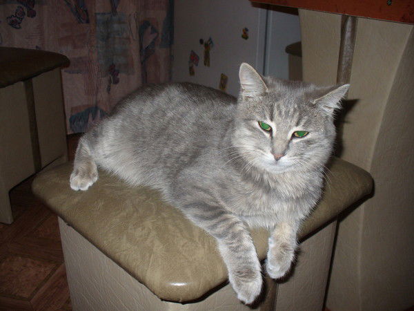 Таня Шаламова