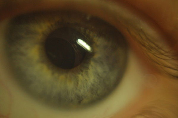 Сама Я Ujh,eyjdf