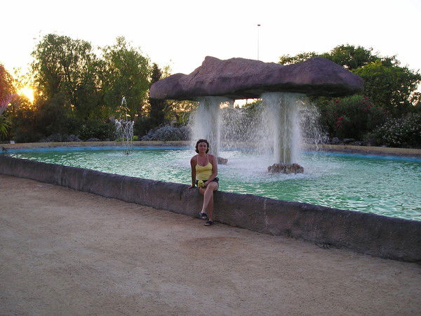 Ирина Комарова