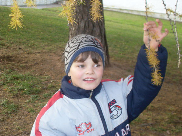 Андрей Костиков