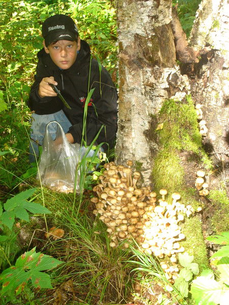 Алексей Ахмедов