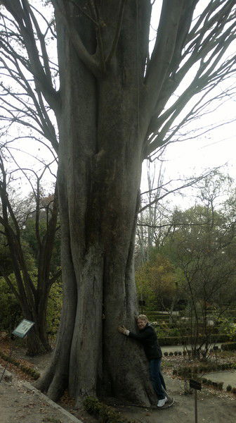 Наталья Беликова