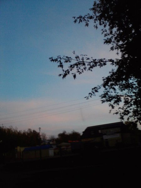 Таня Комлева