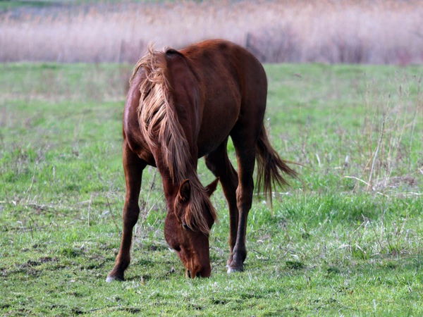 Юля Колледж № 56