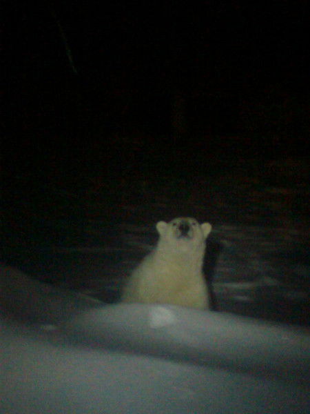 Дима Черников