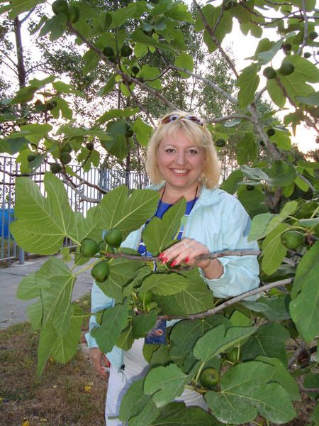 Надя Глызинкина