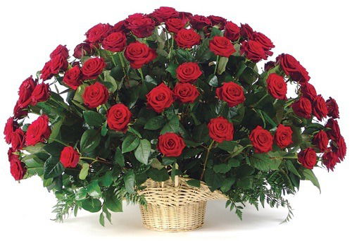 Айгуль Арыспаева