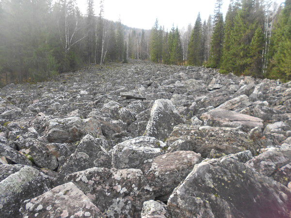 Альбина Насырова