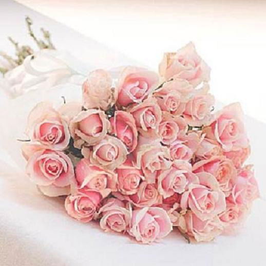 Елена Немчина