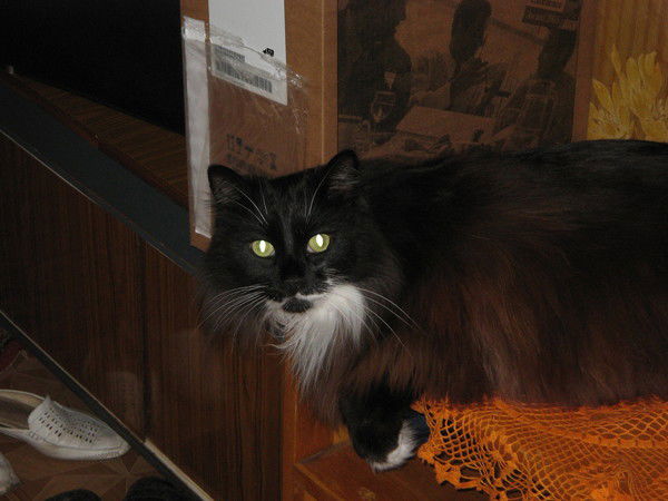 Тамара Богаченко