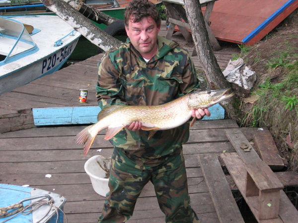 Сергей Ведерников