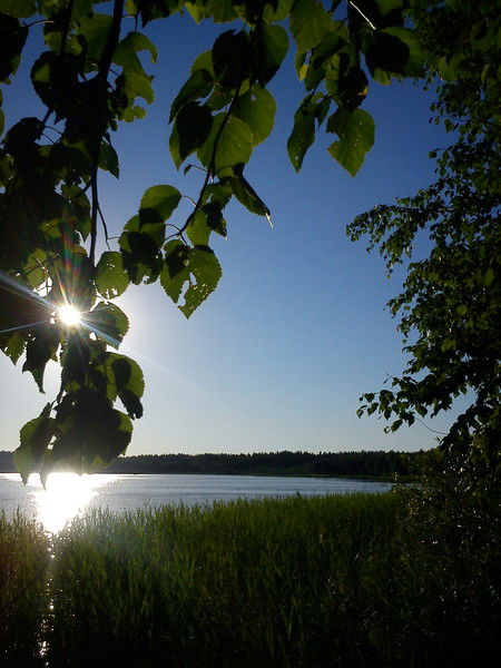 Катюша Любимая