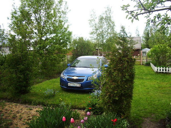 Владимир Карасев