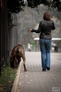 Наталья Емашова