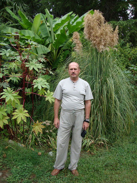 Александр Байков