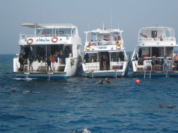 Ольга Смирнова