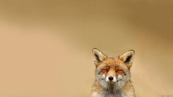 Алексей Иванов