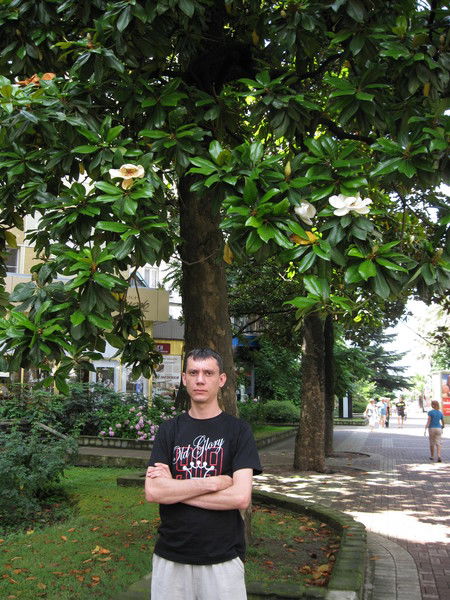 Андрей Сидоркин