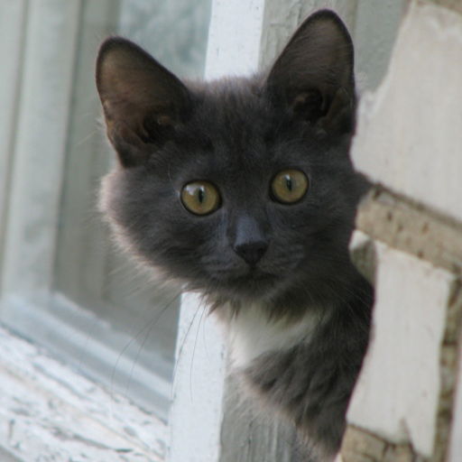 Артём Корноушенко