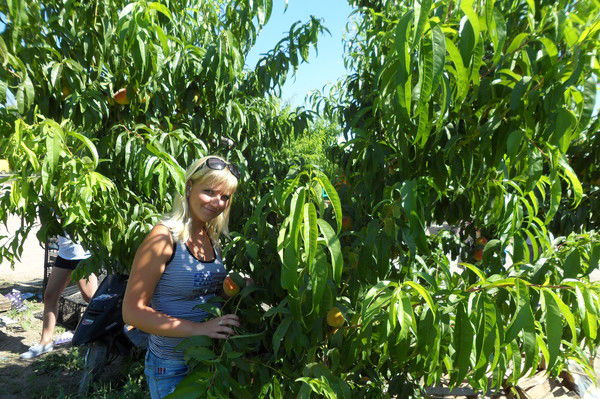 Кристина Проценко