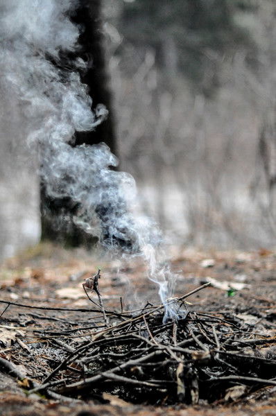 Ольга Захарова