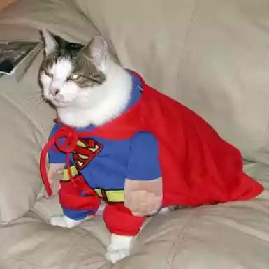 Серый Белый