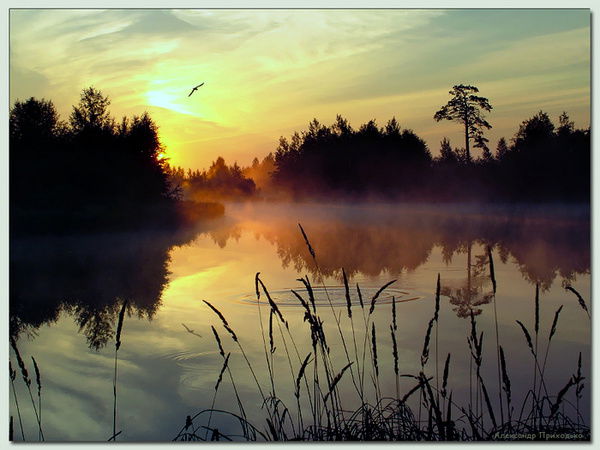 Александр Никонов