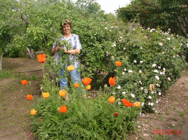 Наталия Грачева