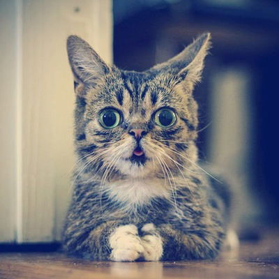 Евгения Кузина