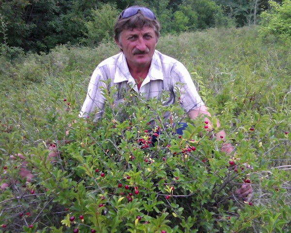 Андрей Медведев