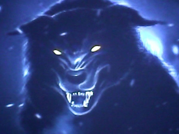 Василий Вольфберг