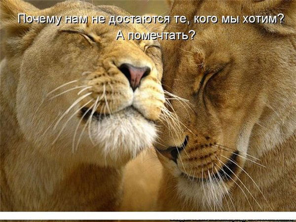 Татьяна Петрикова