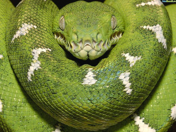 Александр Малыхин