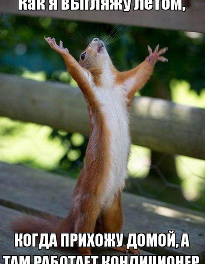 Софья Охрименко