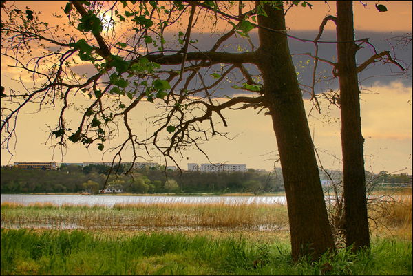 Валентина Тарасенко