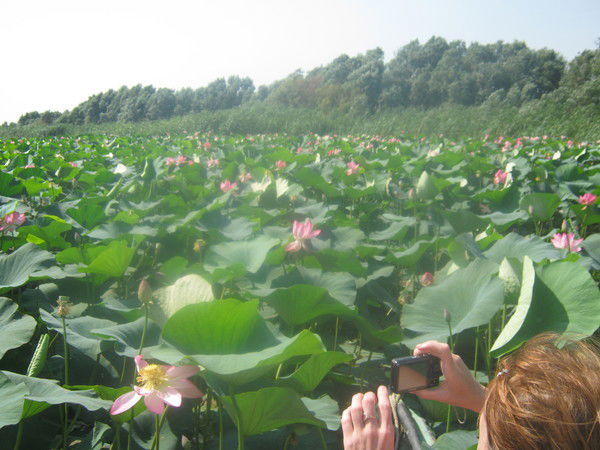 Аня Козулёва