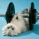 Анастасия ...